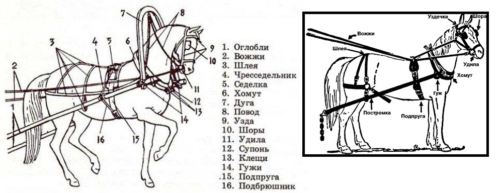 Вожжи для лошади рисунок